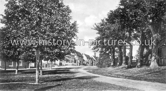 The Green, Wethersfield, Essex. c.1904